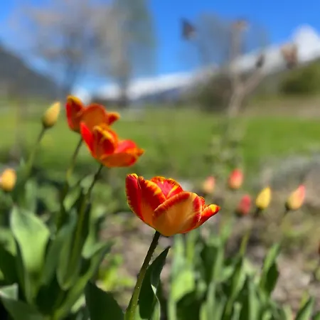 Tiki - Hot Tub & Sauna Chalet *