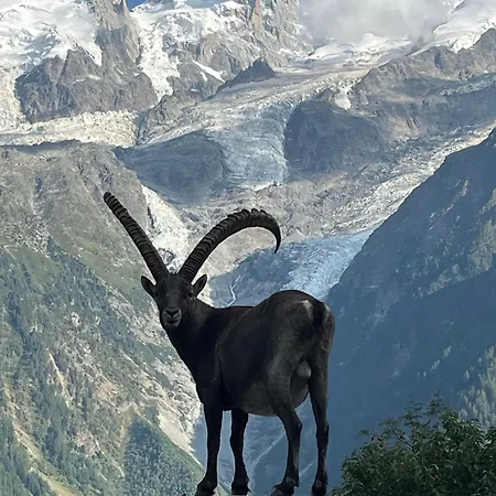 Tiki - Hot Tub & Sauna Chamonix