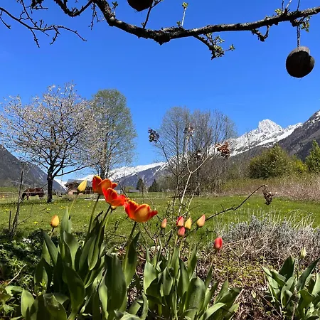 Tiki - Hot Tub & Sauna