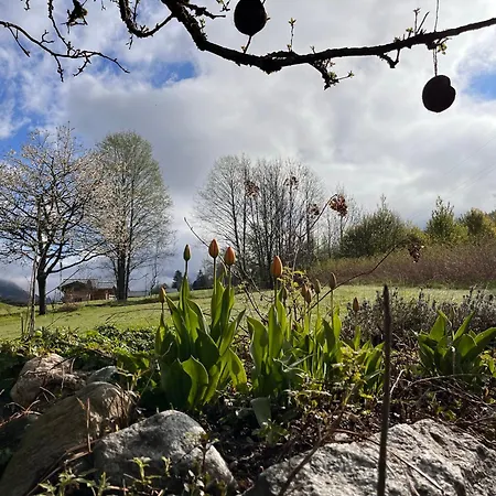 Tiki - Hot Tub & Sauna *