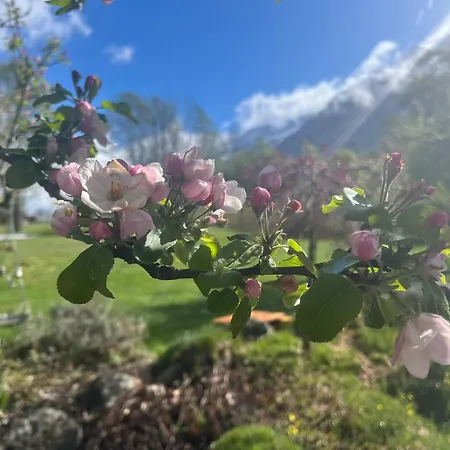 Tiki - Hot Tub & Sauna * Chamonix