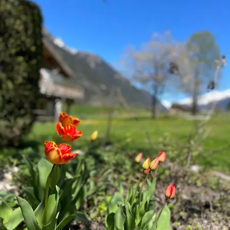Tiki - Hot Tub & Sauna * Chamonix