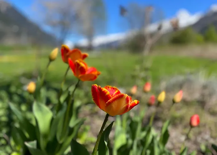 Tiki - Hot Tub & Sauna בקתה *