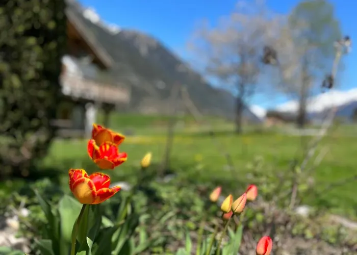 Tiki - Hot Tub & Sauna * Chamonix