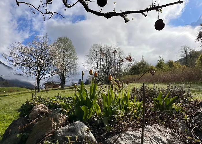 Tiki - Hot Tub & Sauna *