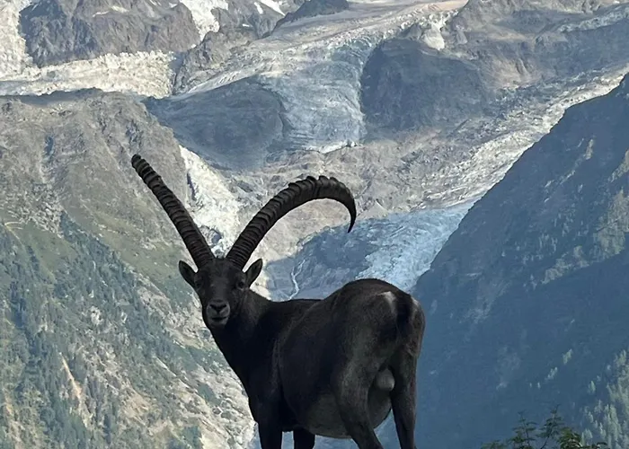 Tiki - Hot Tub & Sauna Chamonix