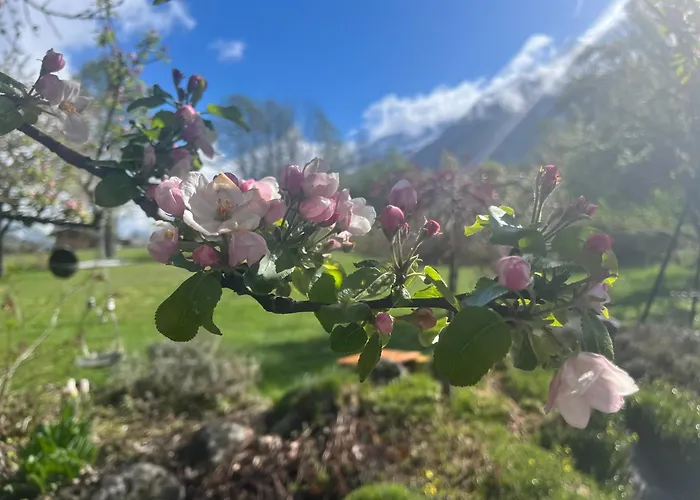 Tiki - Hot Tub & Sauna * Chamonix