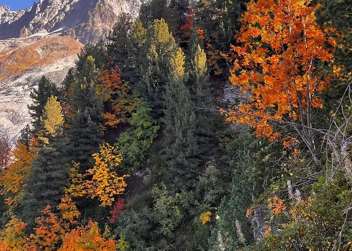 Chalet Tiki - Hot Tub & Sauna Chamonix