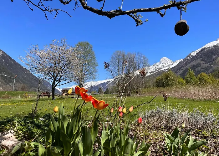 Tiki - Hot Tub & Sauna